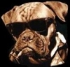 Avatar du membre