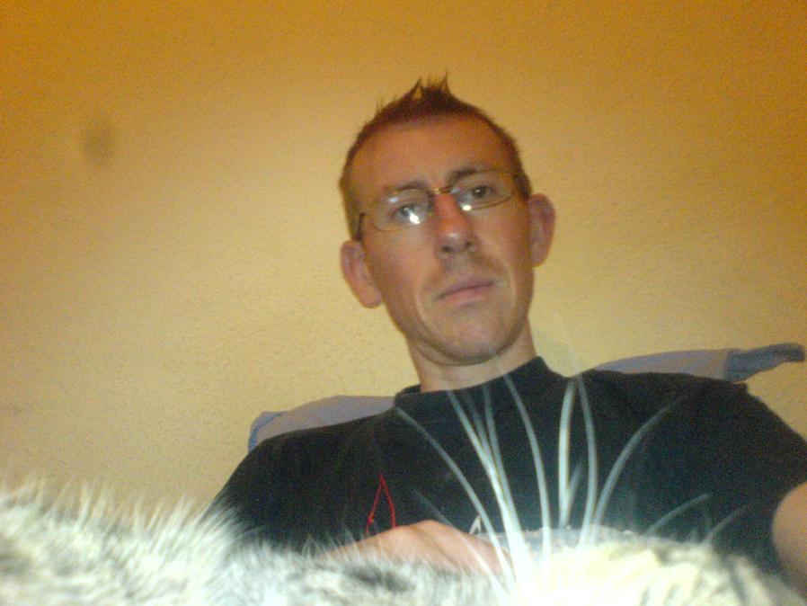 Les poils que l'on voit devant, ce sont les mousaches d'un chat ...