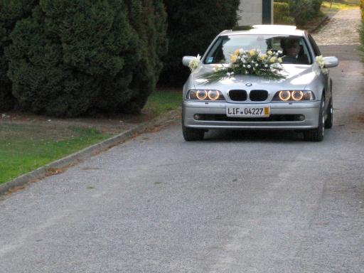 bmw1.jpg