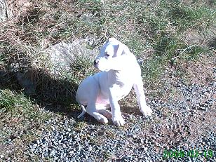PICT0005bis.jpg