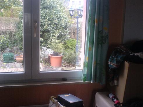 jardinière 003.JPG