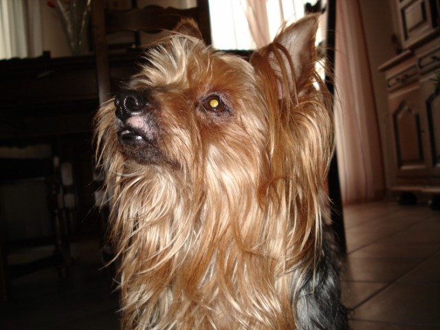 DSC00070.JPG