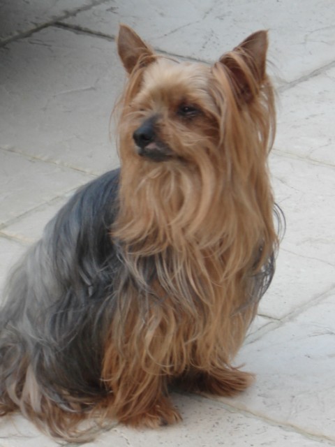 DSC00662.JPG