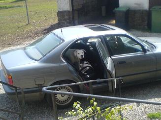 Mais que tu fou, je t'attend moi !!!