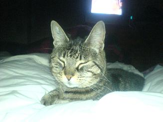 Lilas (12 ans)