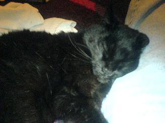 Tina (9 ans)