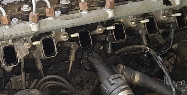 20190307_133606.jpg
