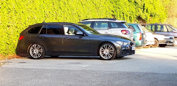 Sylvain 330 D 1.jpg