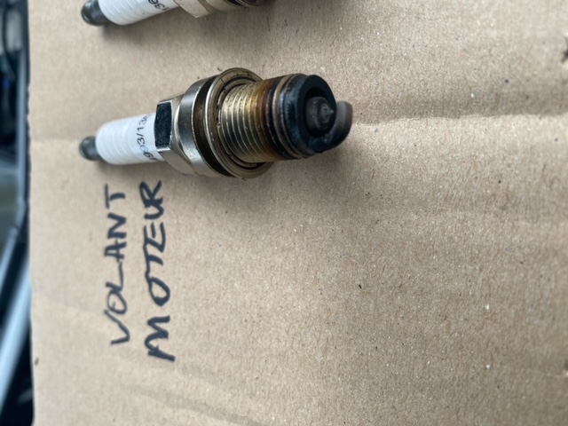 image6.jpeg