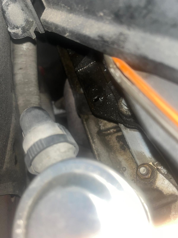 WhatsApp Image 2025-11-14 at 13.58.52 (1).jpeg