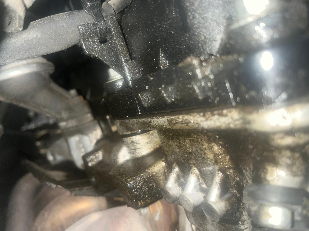 WhatsApp Image 2025-11-14 at 13.58.52.jpeg